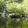 大田黒公園・徒歩12分 木立の中を小川が流れ、心が和む庭園です サムネイル