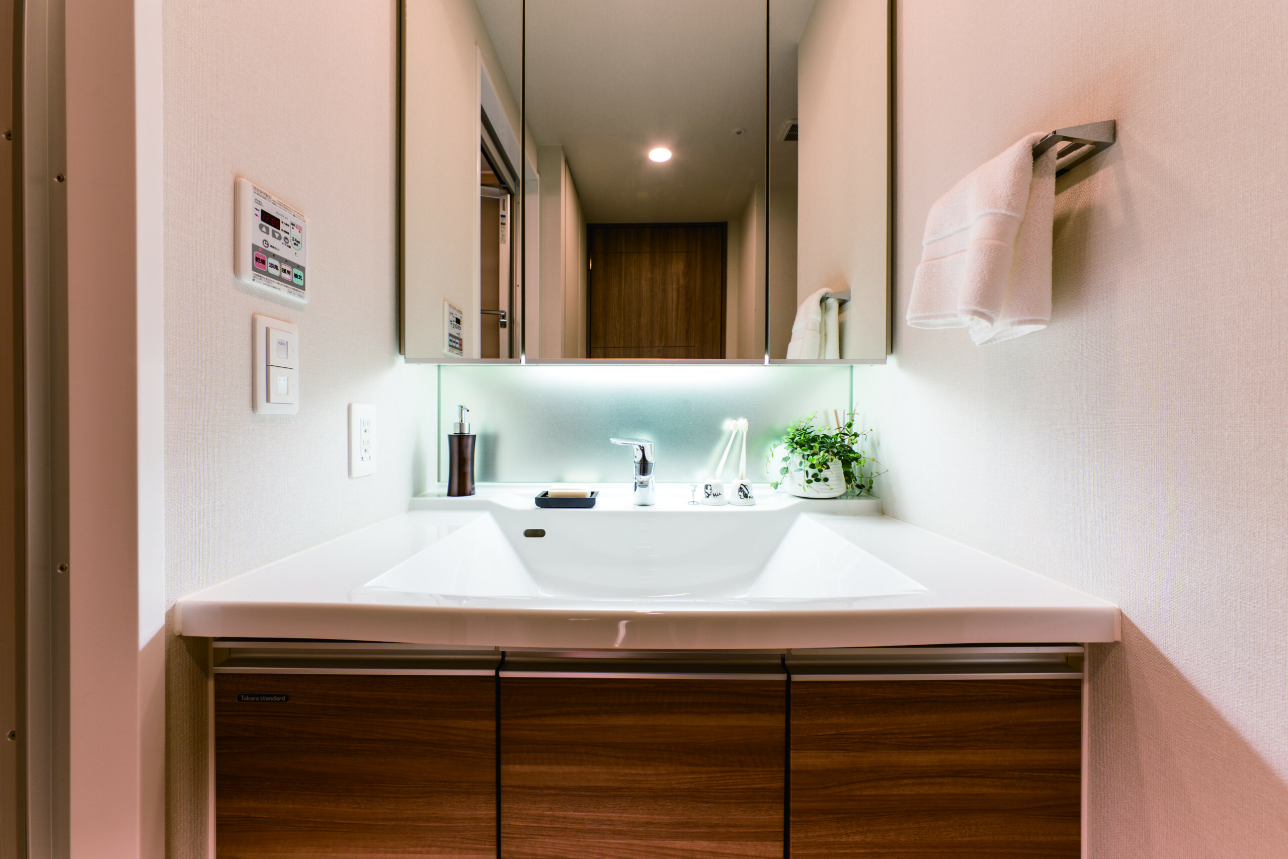 三面鏡の後ろも収納になってます