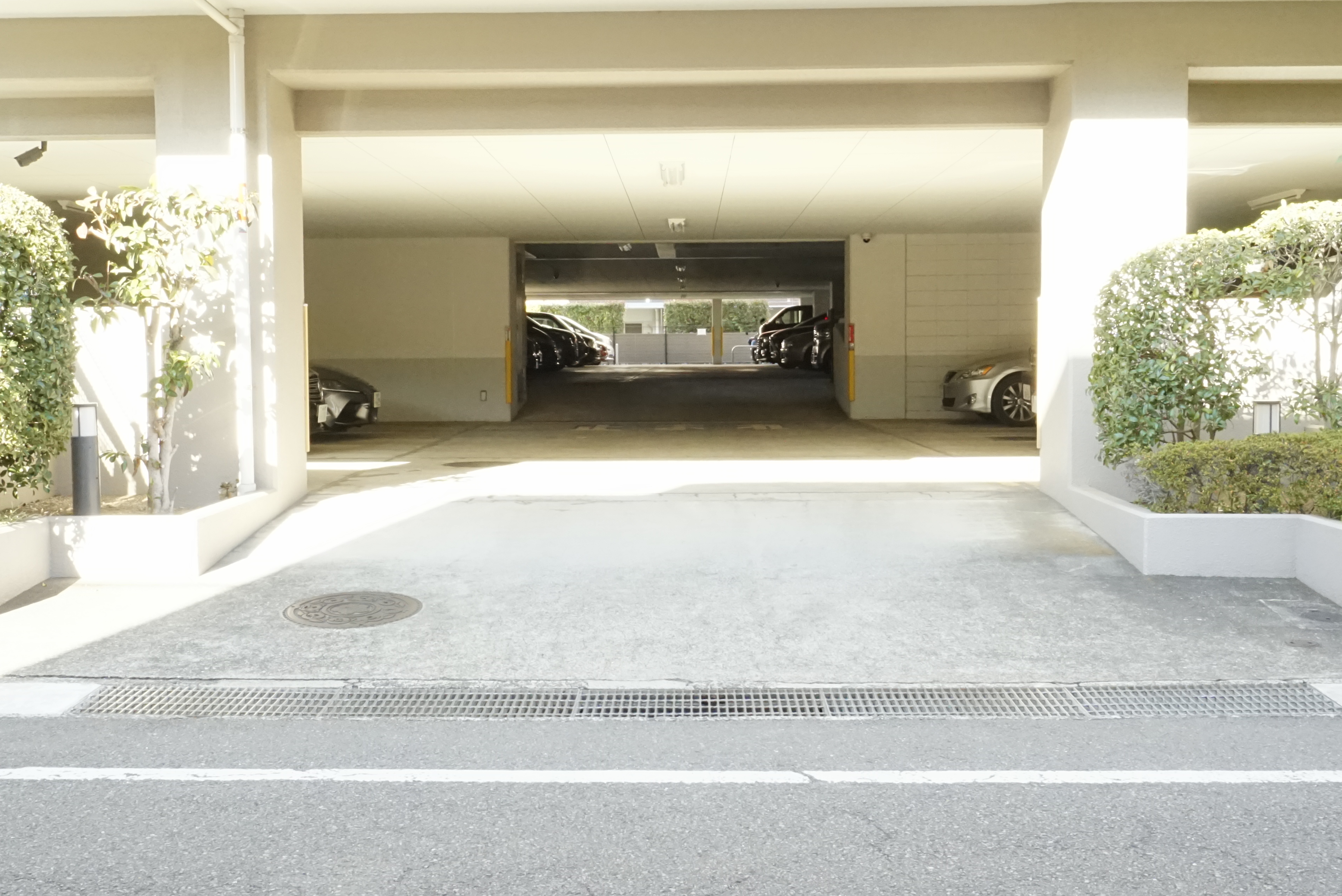 ■学区内・川崎市立橘中学校(約560m)