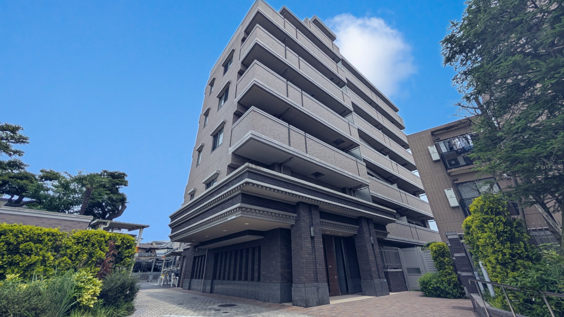 現地(2025年6月)撮影